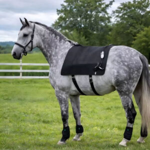 Light Therapy Rug Horse Back Blanket Pain Relief Health Care Red Light Infrared Light Therapy Horse Device
