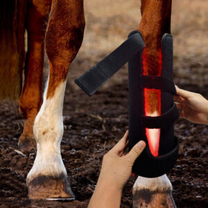 192pcs 5050SMD Combo 660nm and 850nm DC5V Red Light Therapy Horse Leg Pad
