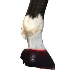 2026 Best-selling New Built-in Battery Model 660nm850nm Relieve Horse Leg and Hoof Pain Red Light Therapy Treatment Wrap